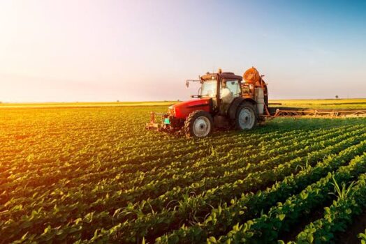 Juiz determina que produtor rural seja ressarcido de perdas de ICMS em R$ 1 m