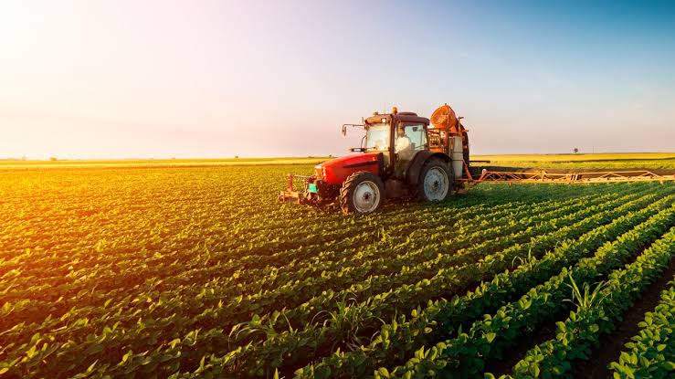 Juiz determina que produtor rural seja ressarcido de perdas de ICMS em R$ 1 m